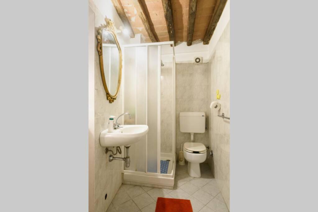 La Casa Del Conte By Francigena Apartments Siena Buitenkant foto